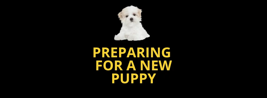 Preparing for a new puppy - blog post