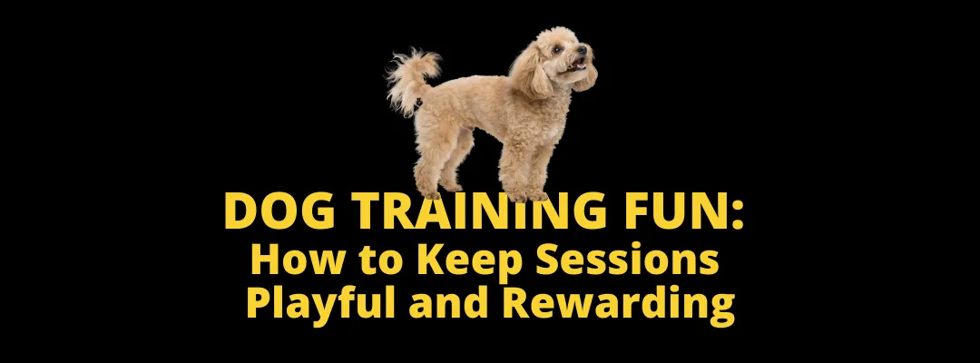 Dog Training Fun: How to Keep Sessions Playful and Rewarding