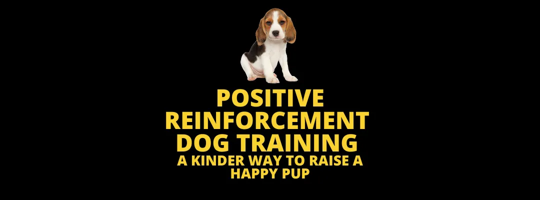 Positive Reinforcement Dog Training: A Kinder Way to Raise a Happy Pup
