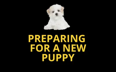 Preparing for a New Puppy