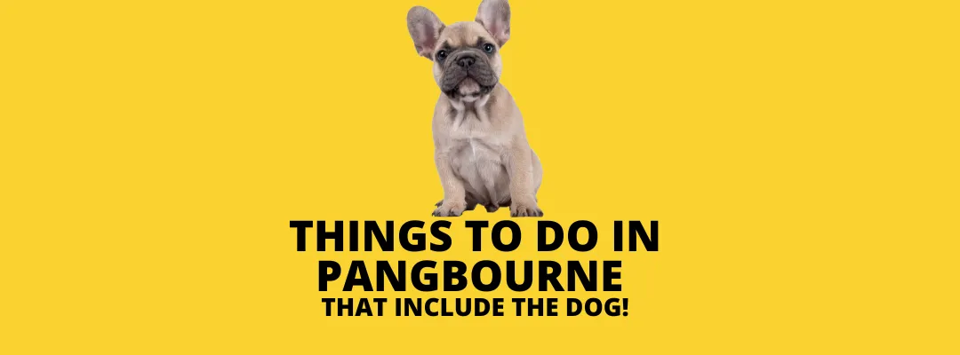 Things to do in Pangbourne – that include the dog!