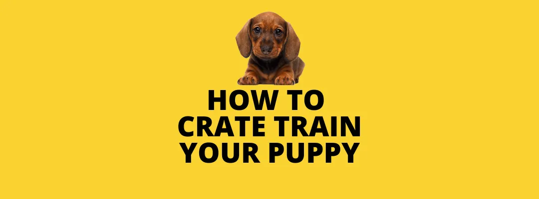 How to Crate Train Your Puppy