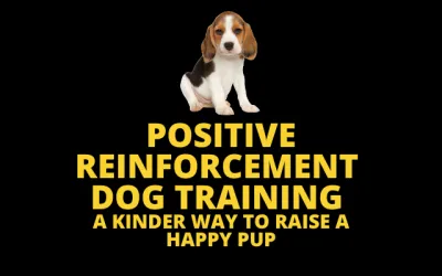 Positive Reinforcement Dog Training: A Kinder Way to Raise a Happy Pup