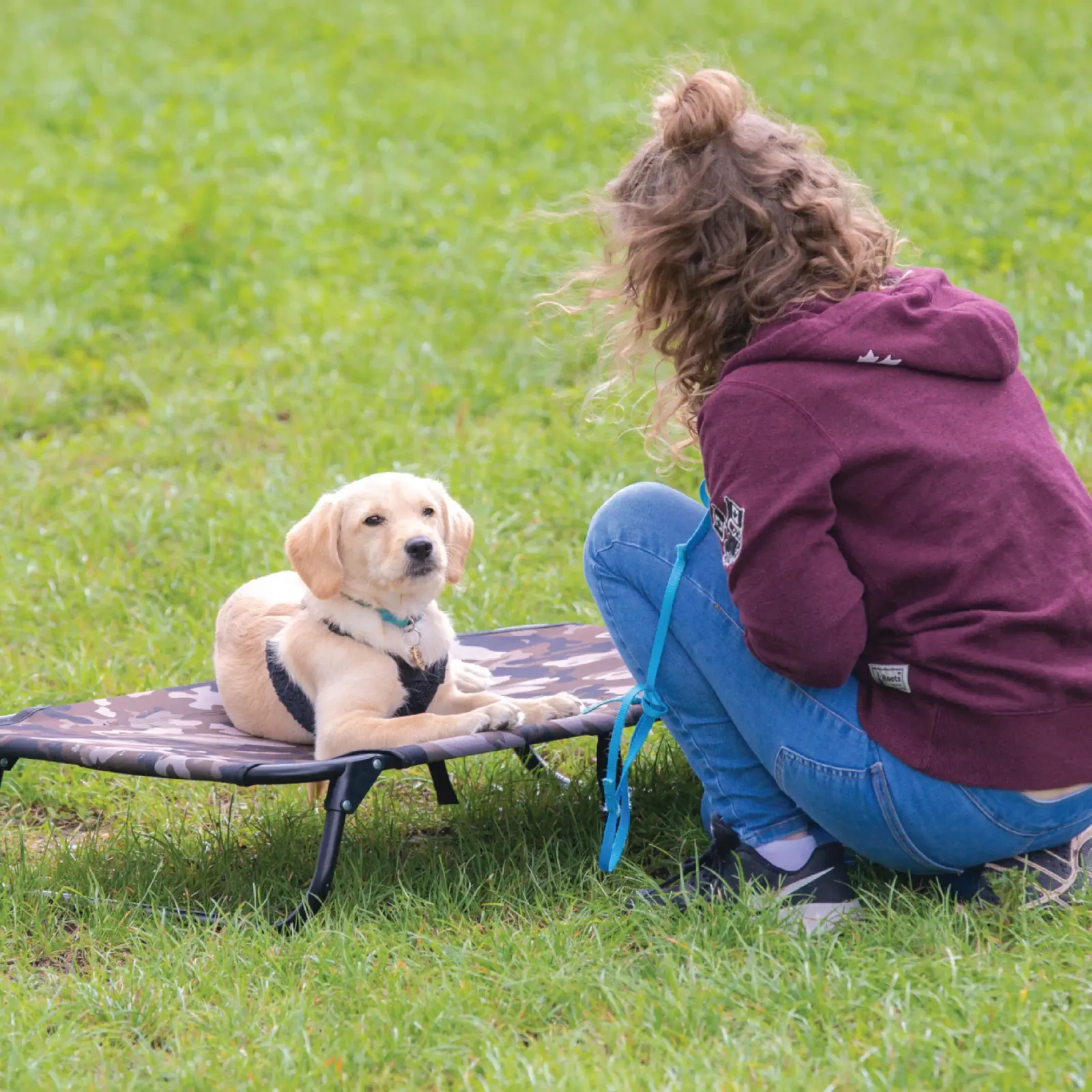 puppy and dog training workshops Berkshire