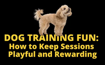 Dog Training Fun: How to Keep Sessions Playful and Rewarding